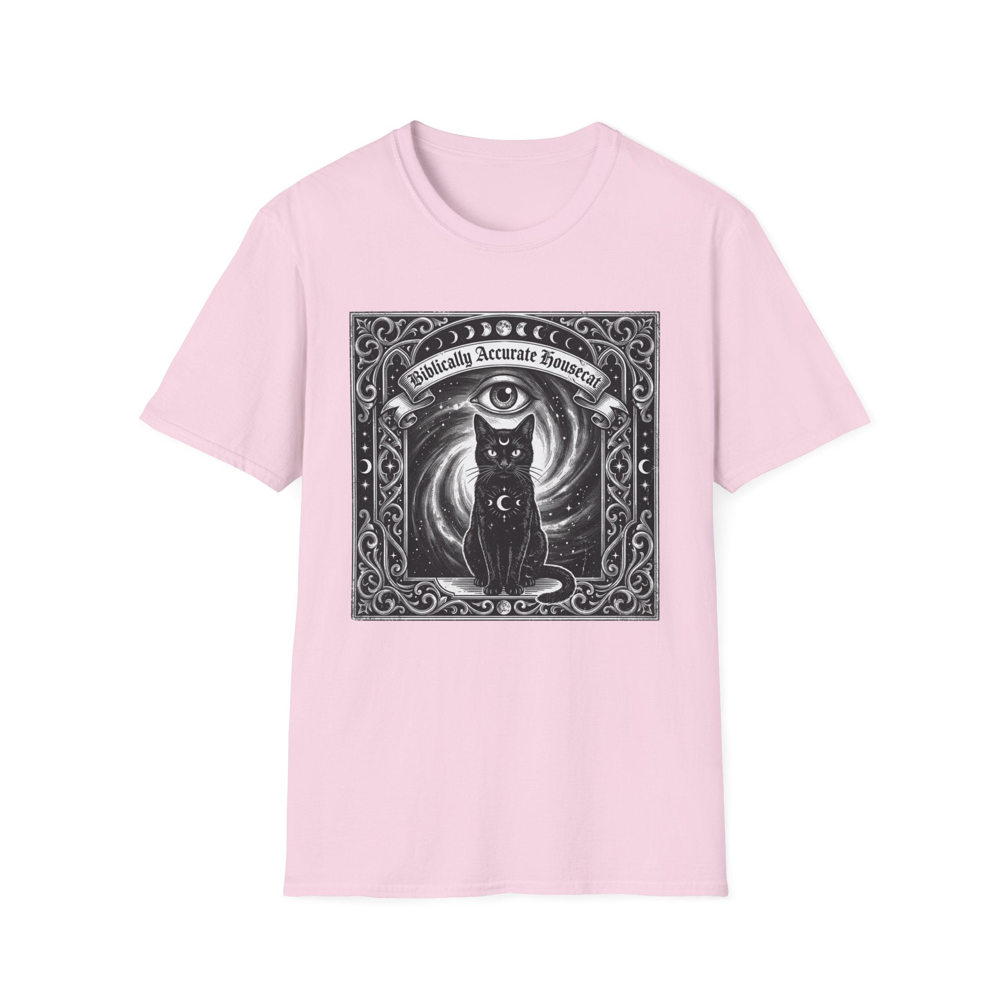 Biblically Accurate Housecat T-Shirt